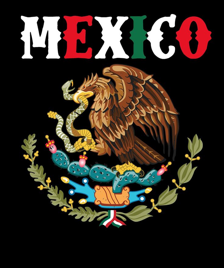 the mexican flag with an eagle on it's head and two snakes in front