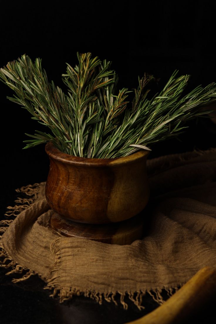 Rosemary Aesthetic, Herbal Aesthetic, African Herbs, Herbal Witch, Cosmetics Laboratory, Green Academia, Alfred Stieglitz, Flower Art Drawing, West Art