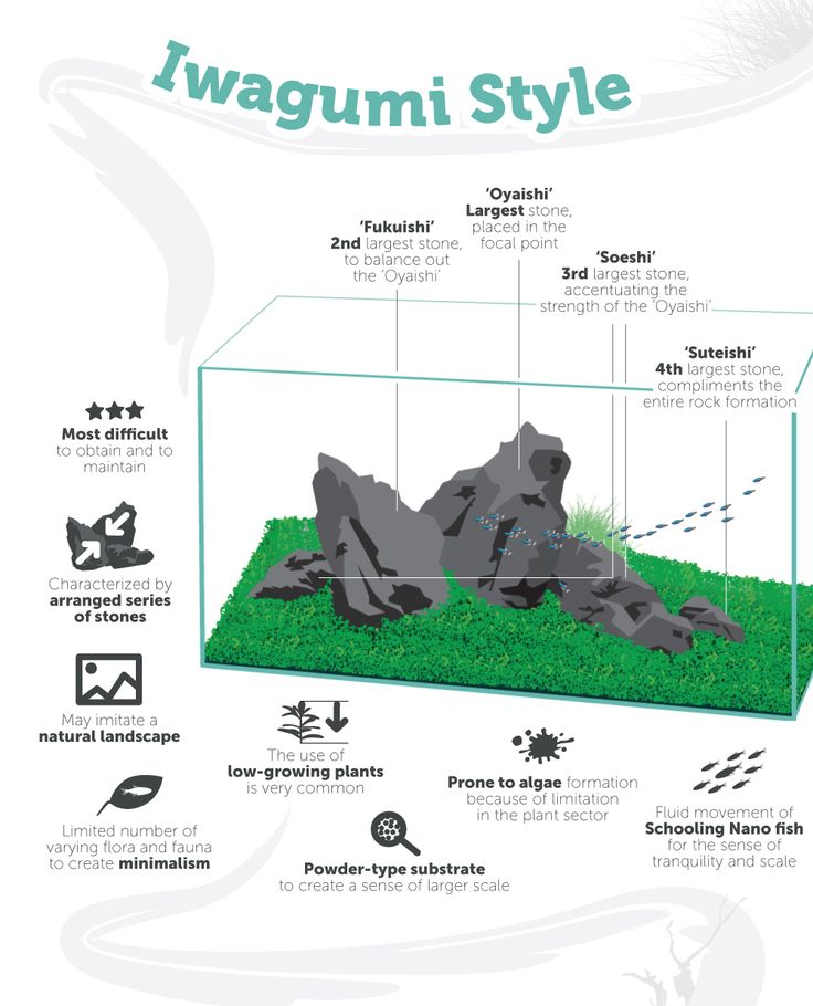 an aquarium with different types of rocks and algaes in it, labeled on the diagram below