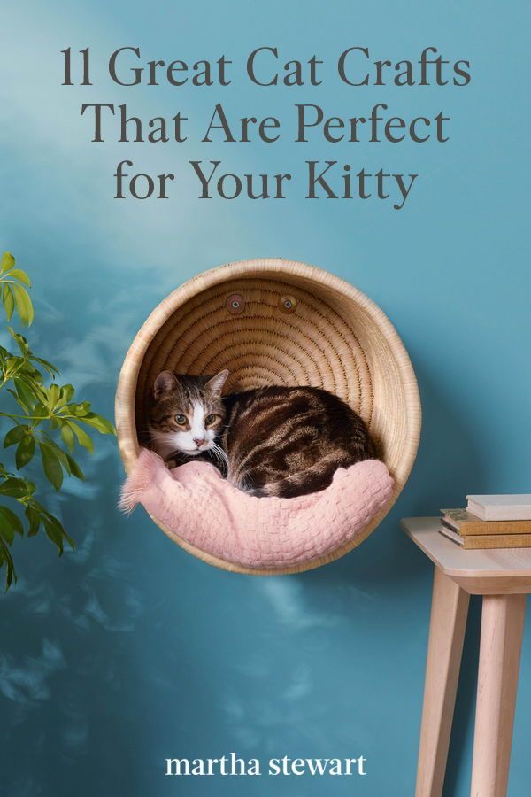 a cat laying in a pink bed on top of a wooden table next to a potted plant