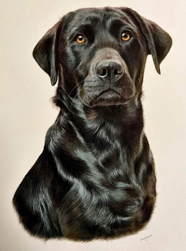 a painting of a black dog looking at the camera