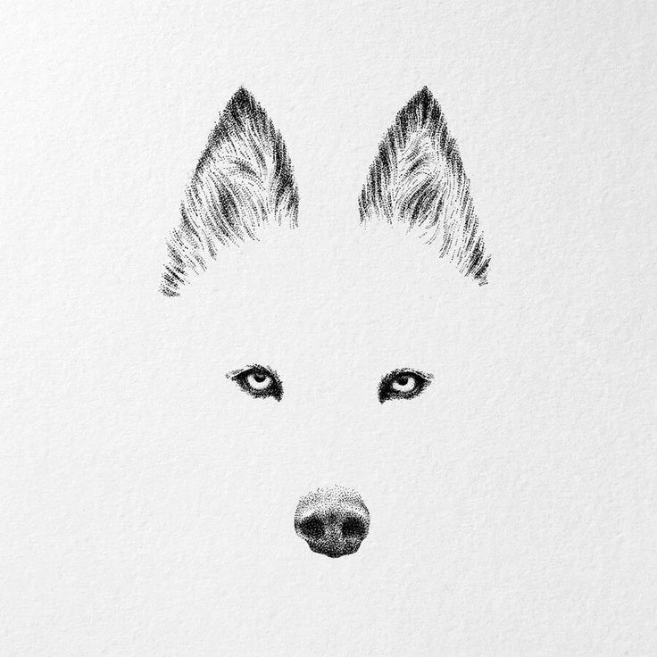 a black and white drawing of a dog's face