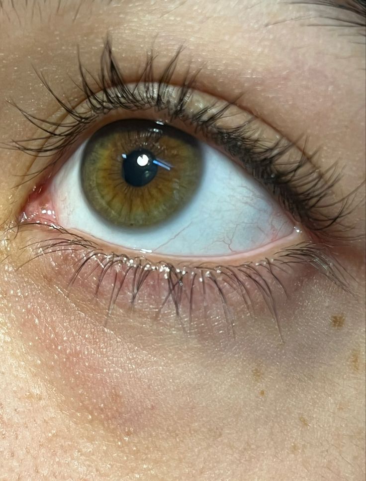 #eyephotography #hazeleyes #hazeleye Dark Green Hazel Eyes, Chuck Hazel Eyes, Greenish Hazel Eyes, Hazel Doe Eyes, Big Hazel Eyes, Hazel Eyes Aesthetic Girl, Green Hazel Eyes Aesthetic, Hazel Green Eyes Aesthetic, Hazel Blue Eyes