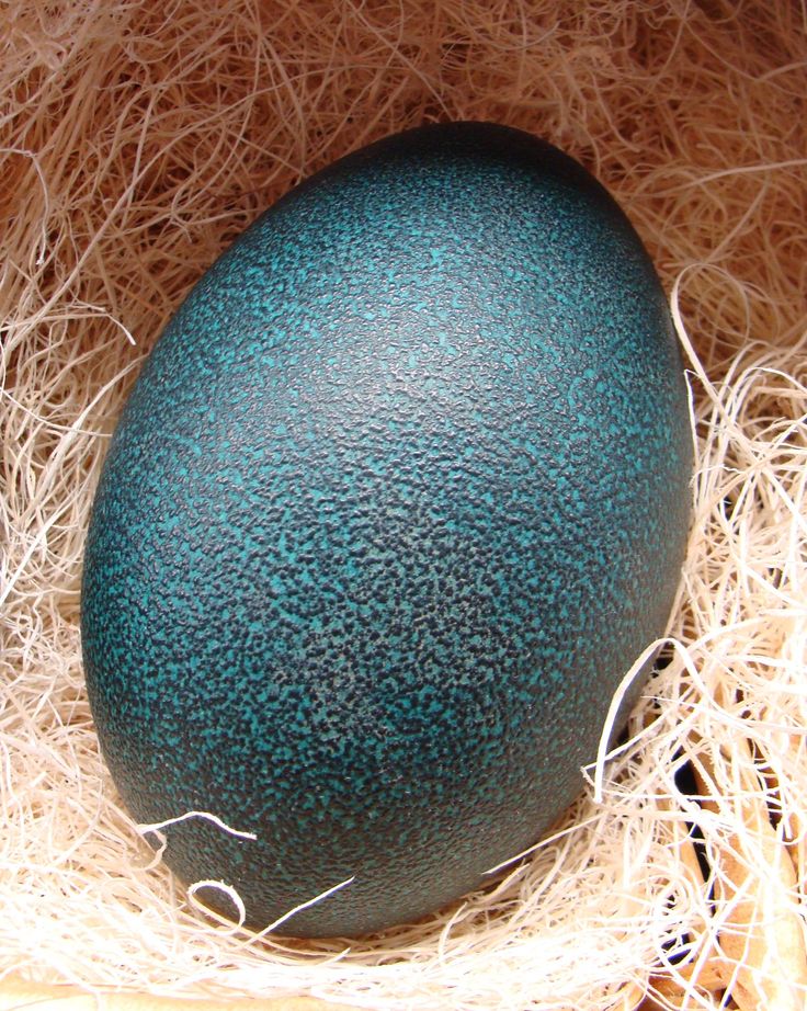 an egg is sitting in some straw and has blue globs on it's surface