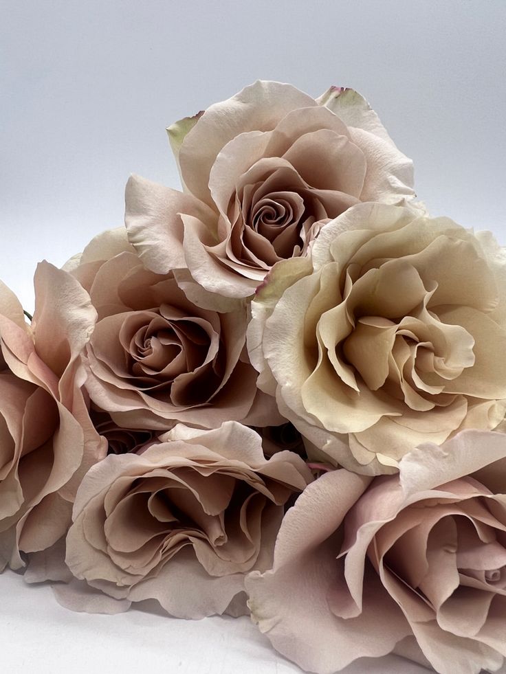 some very pretty pink flowers on a white surface