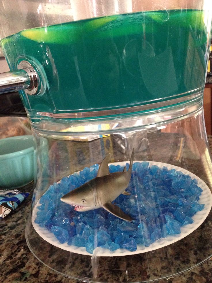 a plastic shark in a bowl filled with blue rocks