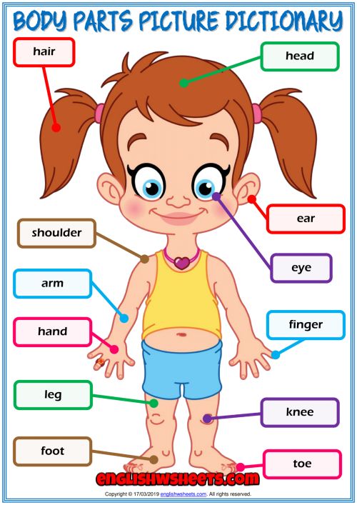 the body parts missing letters in words worksheet for kids to learn and practice