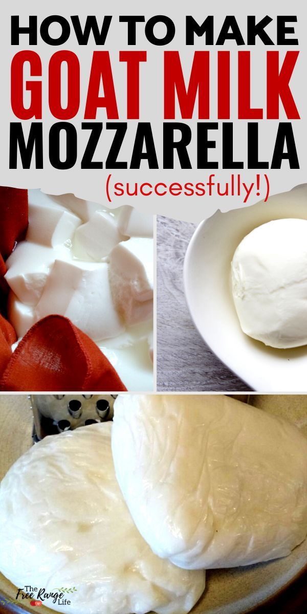 how to make goat milk mozzarella so you can enjoy it all day long