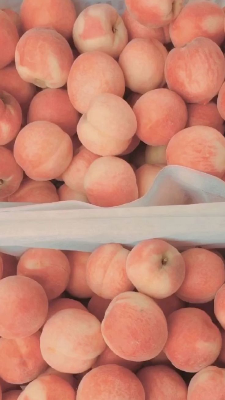 the peaches are ready to be sold at the market