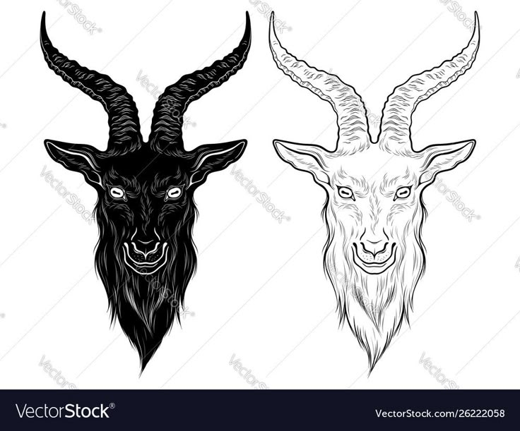 two horned goats head with long horns