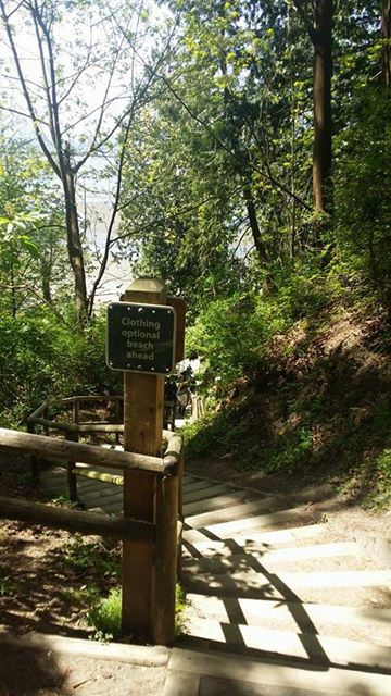 there is a wooden gate in the middle of this path that leads to a wooded area