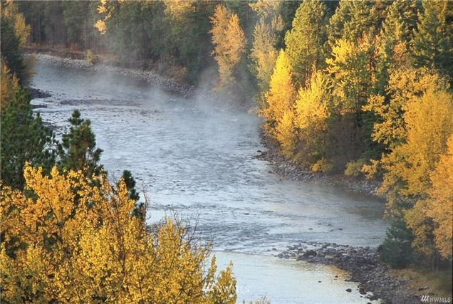 a river surrounded by trees in the fall