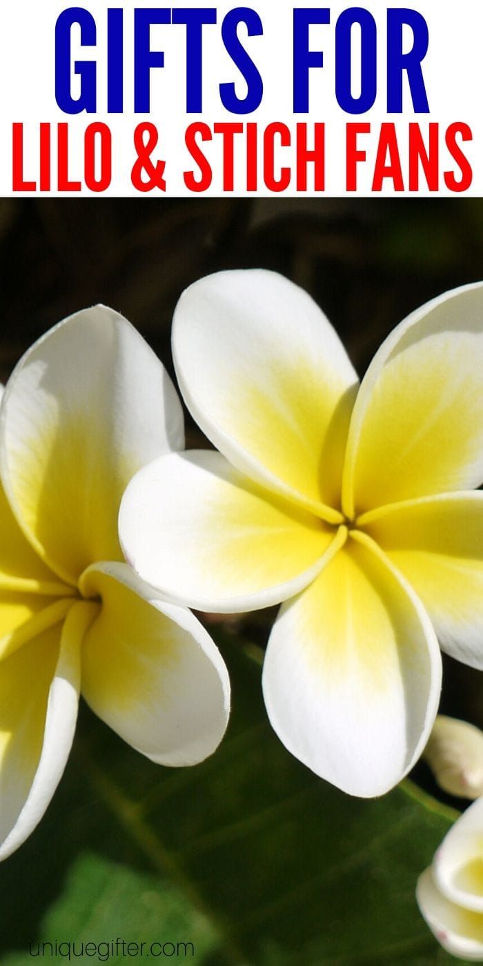 three white and yellow flowers with the words gifts for lilo & stitch fans