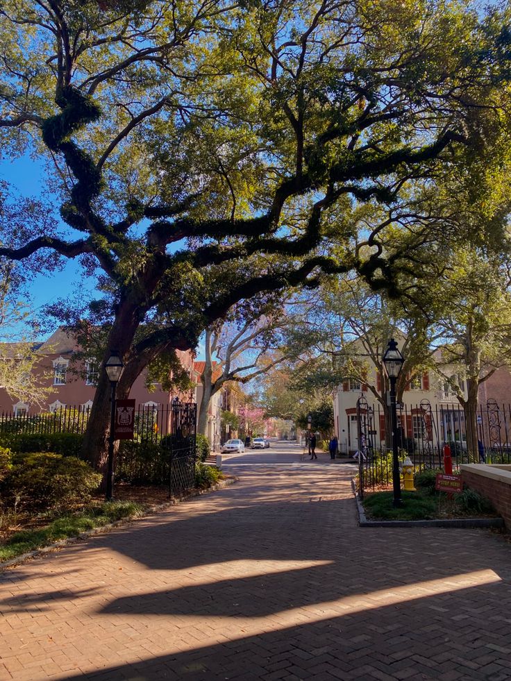 an empty street lined with trees and brick sidewalks on a sunny day in the city