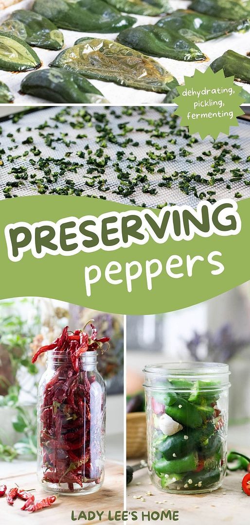 canning peppers in mason jars with lady lee's home