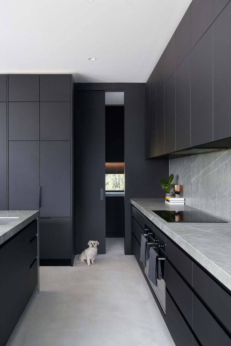 a dog is standing in the middle of a kitchen with black cabinets and counter tops