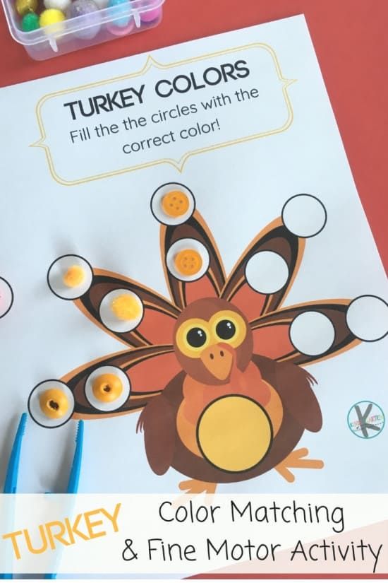 a turkey color matching activity for kids