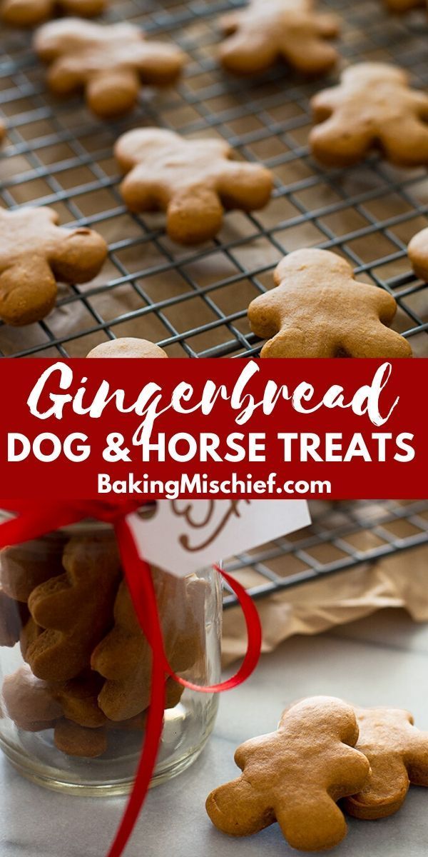 gingerbread dog and horse treats on a cooling rack