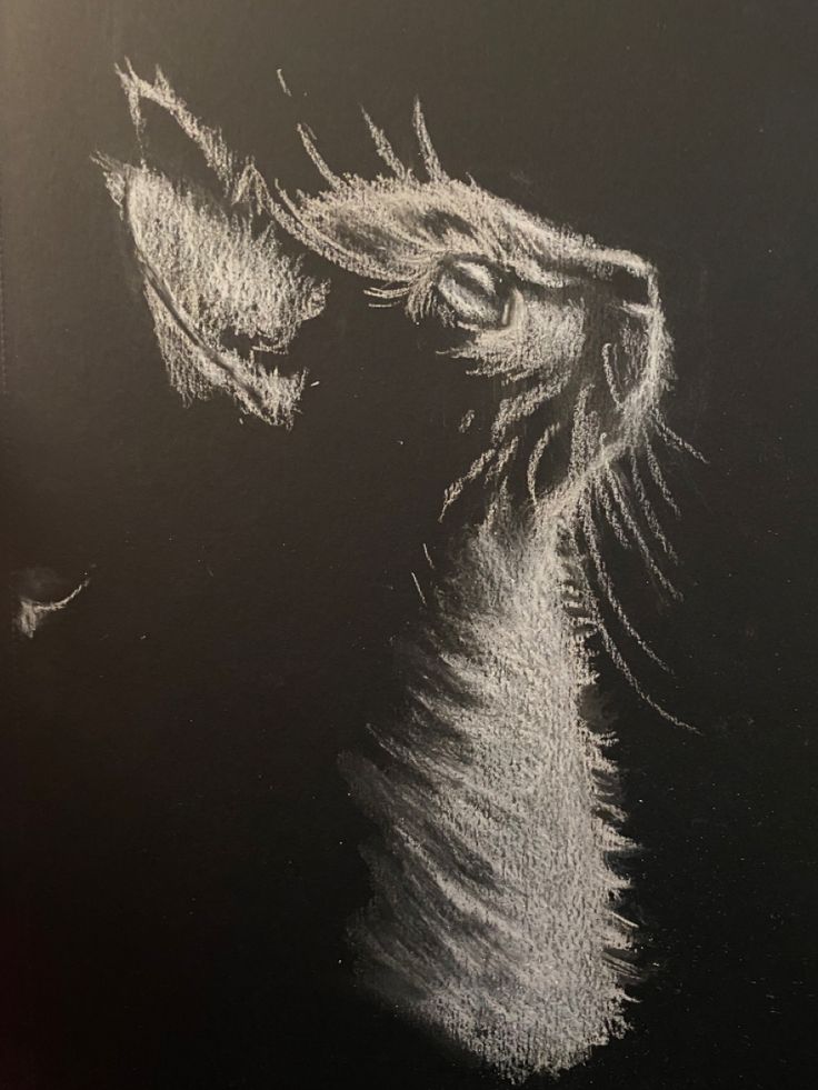 a drawing of a horse's head on a blackboard with white chalk pastel