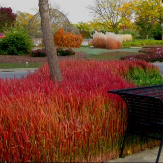 a black table and chair sitting on a sidewalk next to some red plants in the grass