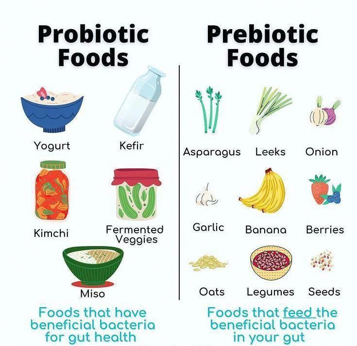 Best Foods With Probiotics, How To Take Care Of Your Gut, Nutrition For Gut Health, Probiotic And Prebiotic Foods, Probiotics And Prebiotics Food, Foods To Help With Gut Health, Fruits Good For Gut Health, Food With Probiotics, Probiotics Foods For Women