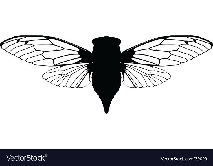 a black and white silhouette of a butterfly