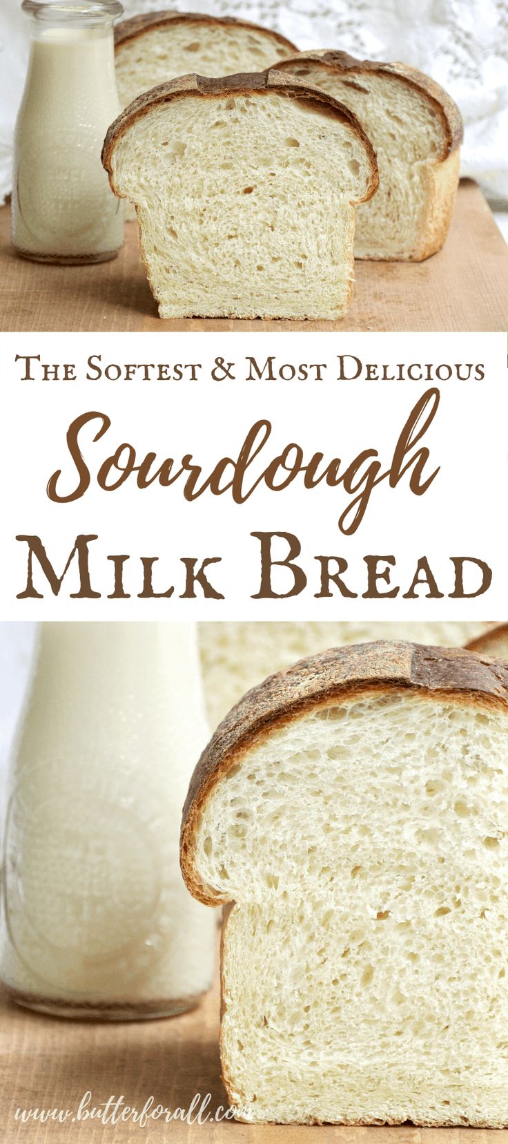 the softest and most delicious sourdough milk bread is ready to be eaten