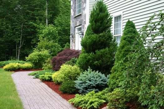 a house with lots of trees and bushes around it's front yard, along with a brick walkway