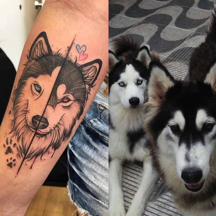 two dogs with tattoos on their legs and one has a wolf tattoo on its arm