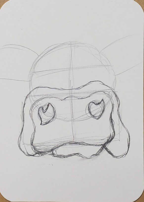 a drawing of a frog's head with one eye open and the other half closed