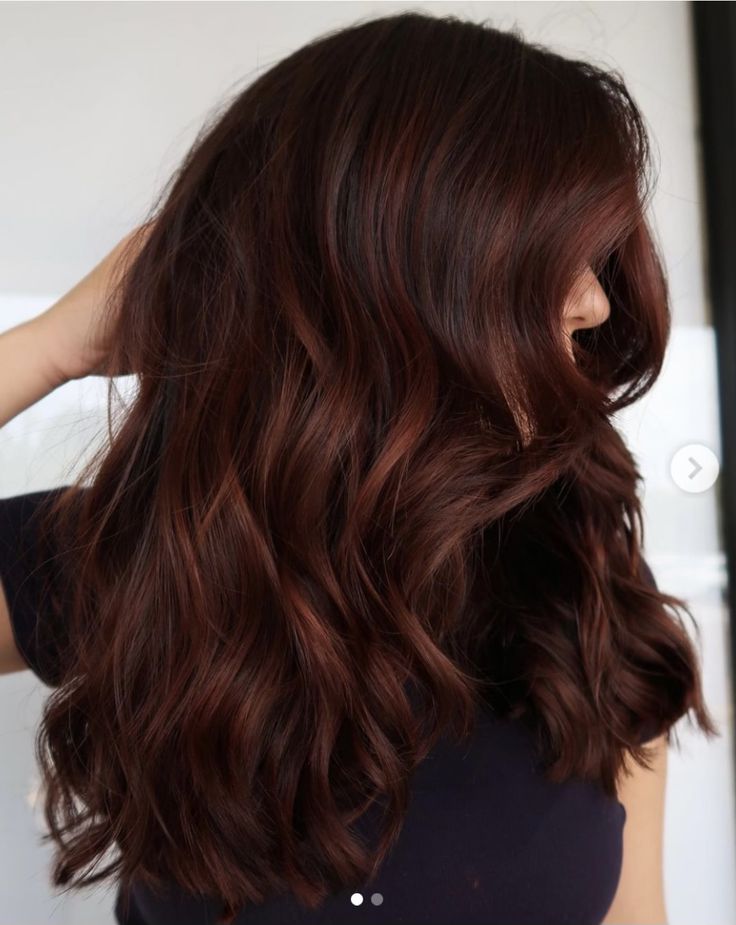 Dark Copper Brown Hair With Highlights, Brown Red Hair Balayage, Dark Brown Auburn Hair Balayage, Dark Auburn Balayage Brunettes, Black Hair Auburn Highlights, Dark Brown Hair Balayage Fall, Mahogany Balayage Brown Hair, Brunette With Auburn, Dark Brown Hair Red Highlights