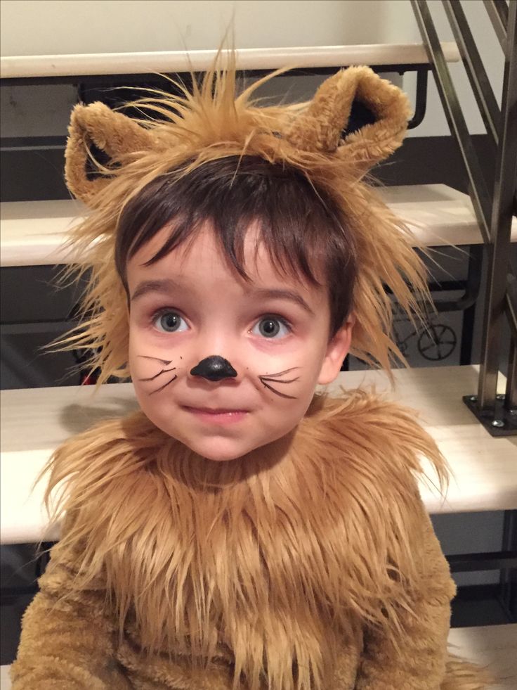 a little boy dressed up as a lion with his eyes wide open and ears out