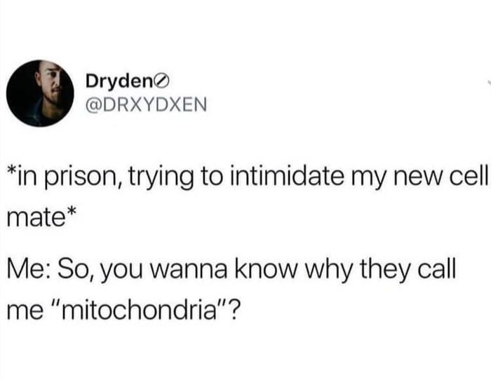 two tweets that are on top of each other with the caption'in prison, trying to intimitate my new cell phone mate me so you wanna know why they call me