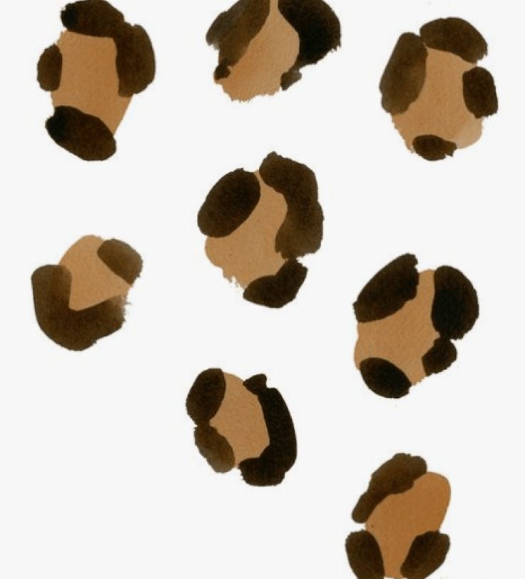 six pieces of brown and black animal print on white paper, each with different spots