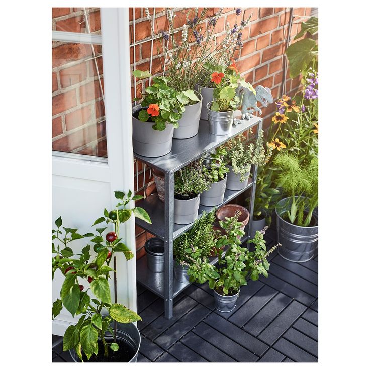 several potted plants are on a shelf outside