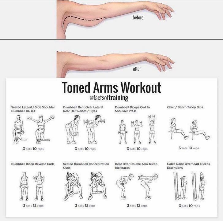 the arm workout chart shows how to do an arm exercises for beginners and advanced athletes