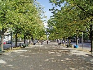 people are sitting on park benches and walking down the street with trees lining both sides