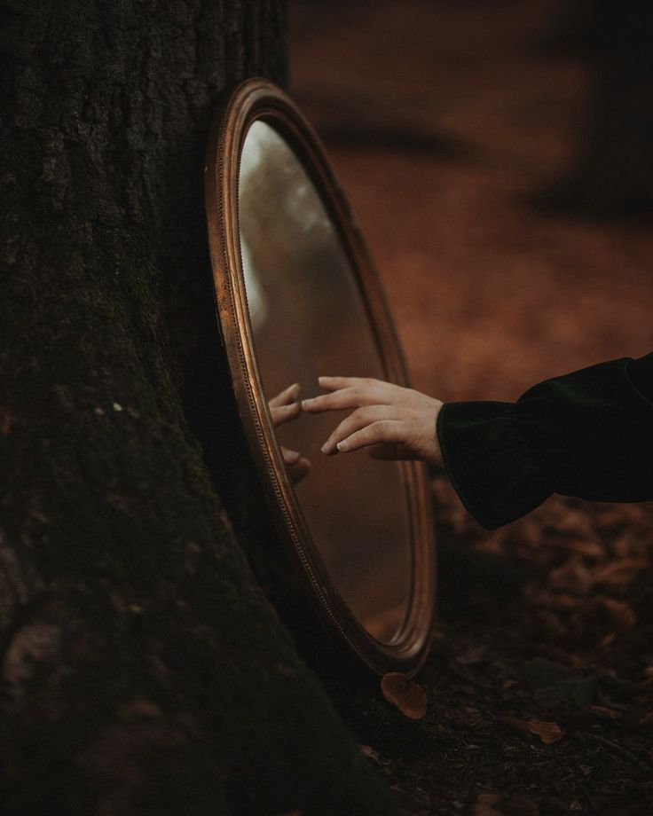 a person's hand touching the mirror on a tree