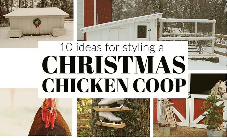 a collage of chicken coops with the words 10 ideas for styling a christmas chicken coop