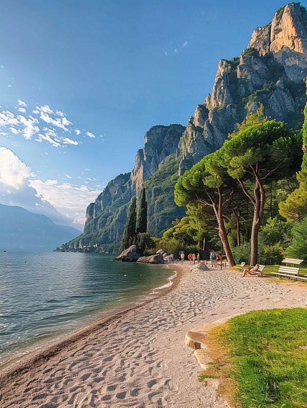 the beach is lined with trees and benches