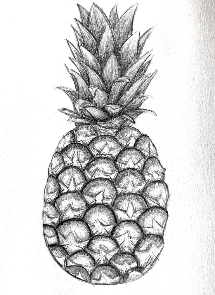 a pencil drawing of a pineapple with lots of fruit on it's side