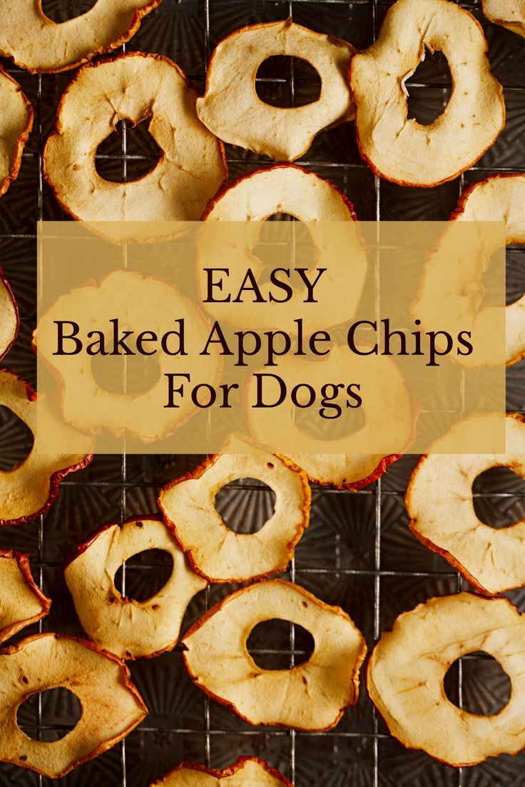 baked apple chips on a cooling rack with the words easy baked apple chips for dogs