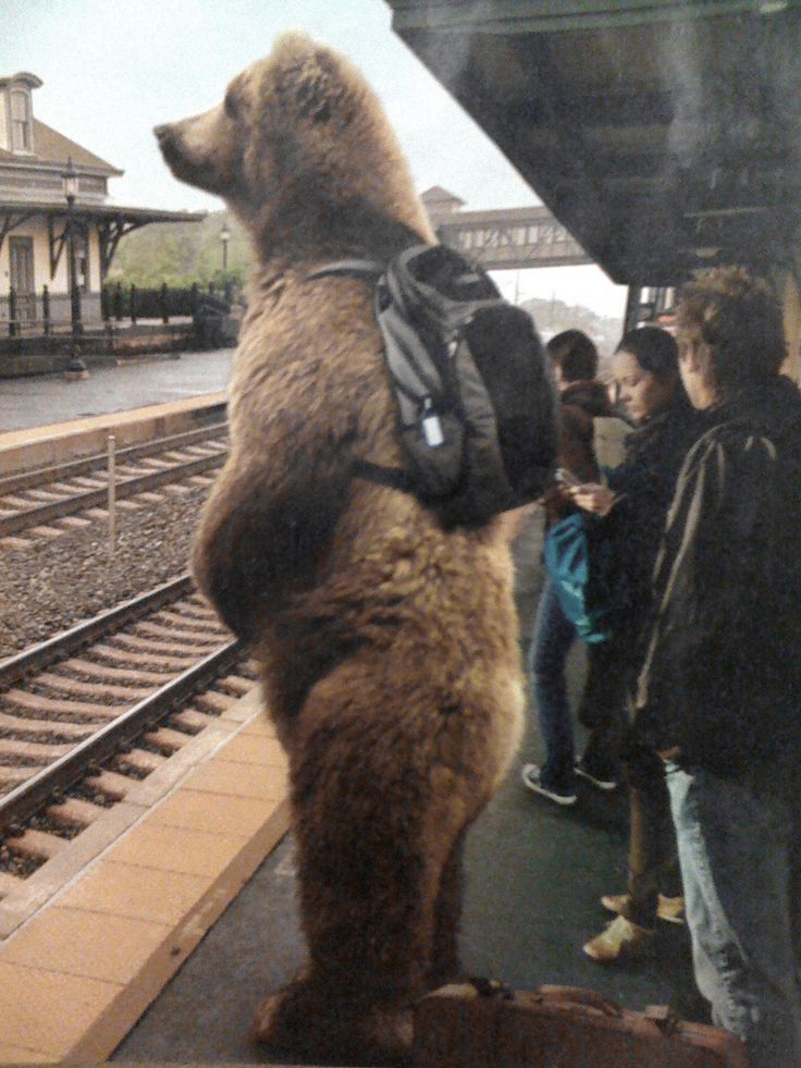 a large brown bear standing on top of a train station platform next to other people