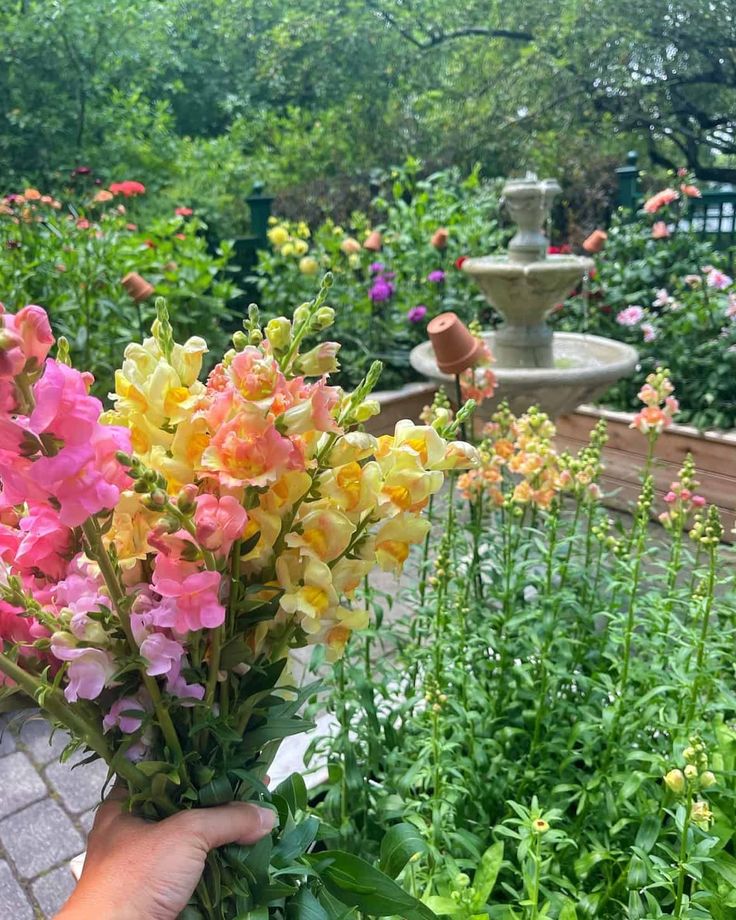 a person is holding flowers in their hand near some plants and water fountain on the other side