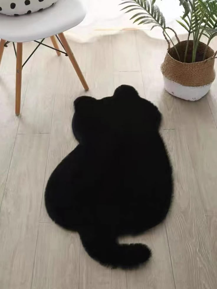 a large black cat laying on top of a wooden floor next to a potted plant