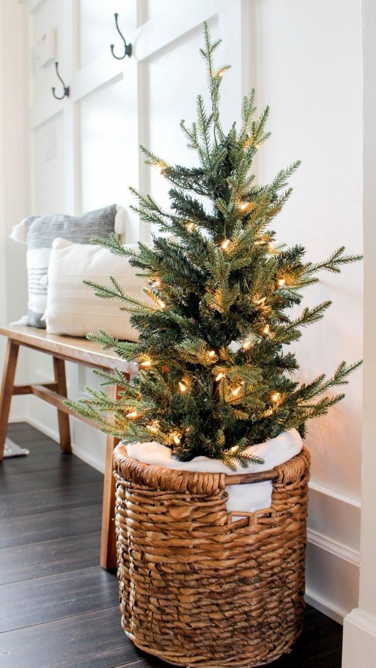 a small christmas tree in a wicker basket on the floor next to a bench