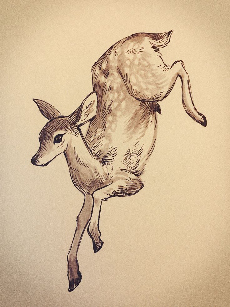 a drawing of a deer jumping up into the air with its hind legs spread out