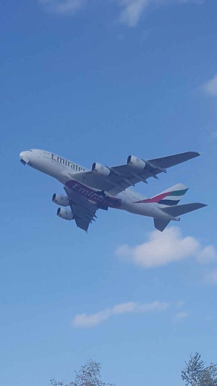 an airplane is flying in the sky above some trees and bushes on a sunny day