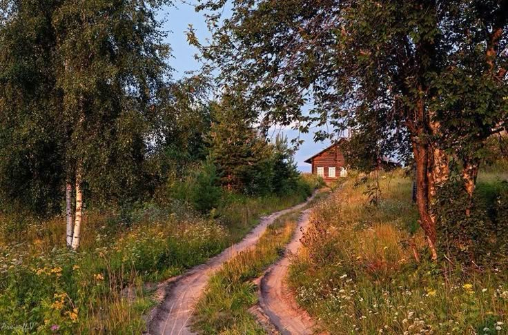 a dirt road in the middle of some trees and grass with a house on it