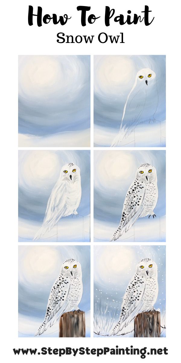 how to paint an owl with step by step instructions